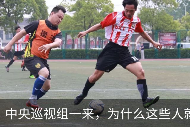 中央巡视组一来，为什么这些人就睡不着了？