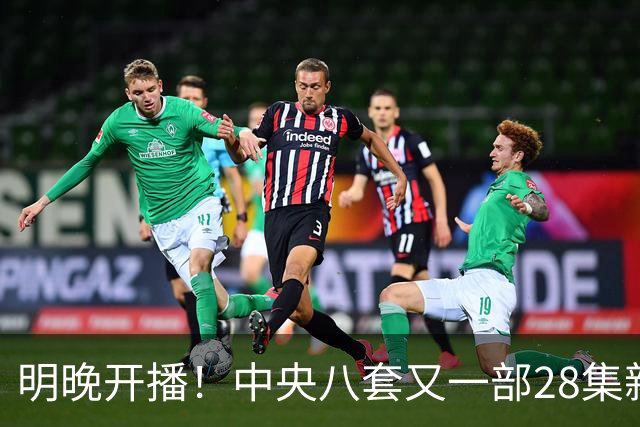 明晚开播！中央八套又一部28集新剧来袭！阵容豪华，又有大剧看了